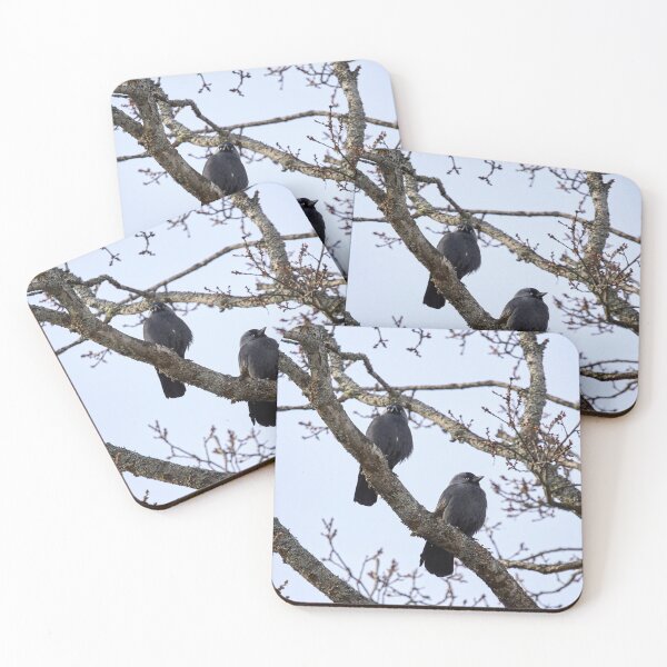 Item preview, Two and a tree. Western jackdaw designed and sold by Jouko Lehto Photography.