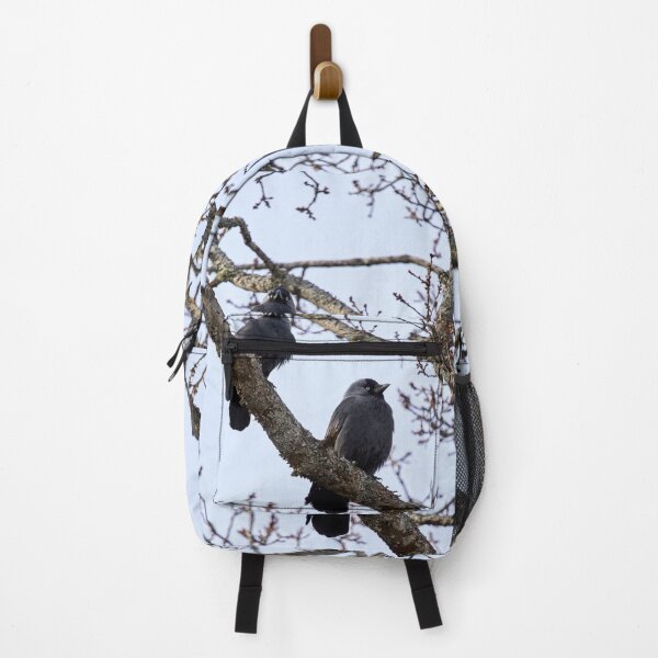 Item preview, Two and a tree. Western jackdaw designed and sold by Jouko Lehto Photography.
