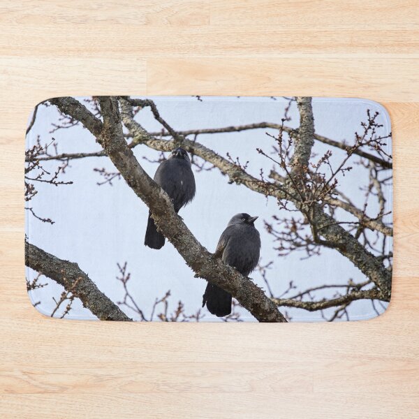 Item preview, Two and a tree. Western jackdaw designed and sold by Jouko Lehto Photography.