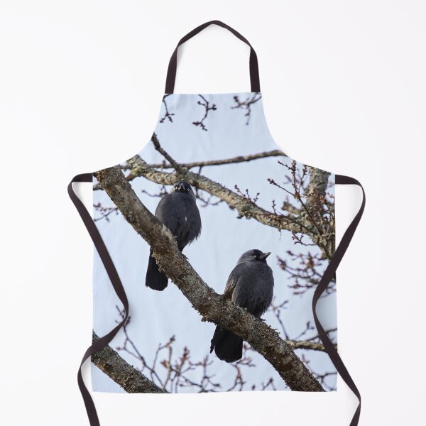 Item preview, Two and a tree. Western jackdaw designed and sold by Jouko Lehto Photography.