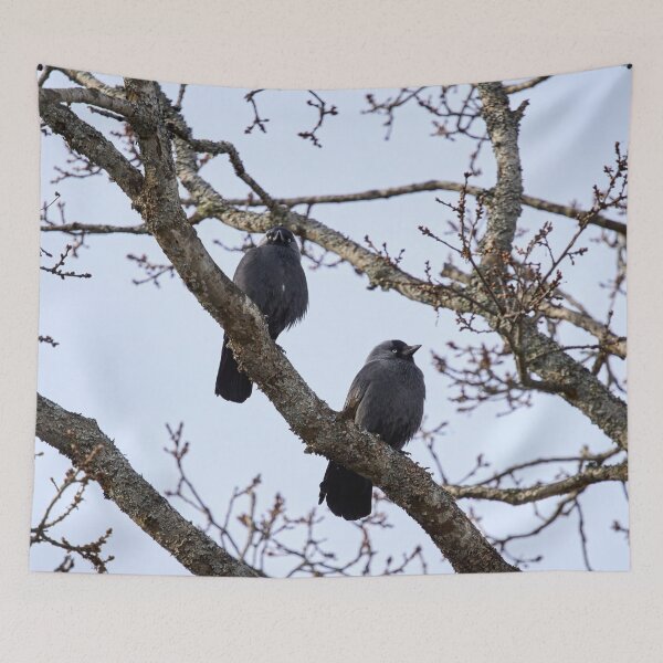 Item preview, Two and a tree. Western jackdaw designed and sold by Jouko Lehto Photography.