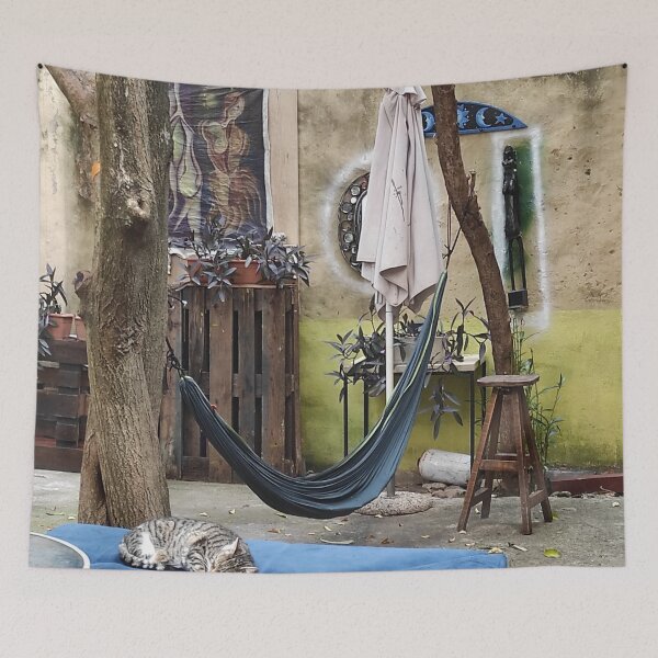 Item preview, Urban Zen Garden with a Sleeping Cat designed and sold by branaghbel.