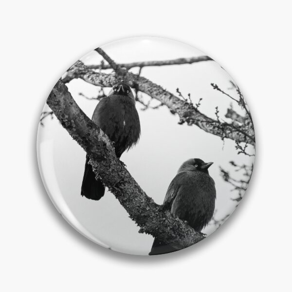Item preview, Two and a tree. Western jackdaw bw designed and sold by Jouko Lehto Photography.