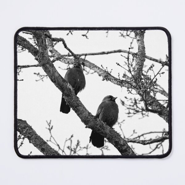 Item preview, Two and a tree. Western jackdaw bw designed and sold by Jouko Lehto Photography.