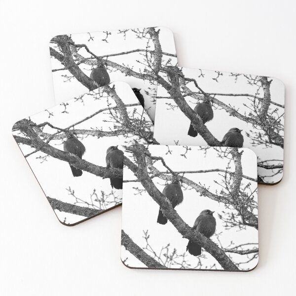Item preview, Two and a tree. Western jackdaw bw designed and sold by Jouko Lehto Photography.
