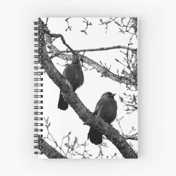 Item preview, Two and a tree. Western jackdaw bw designed and sold by Jouko Lehto Photography.
