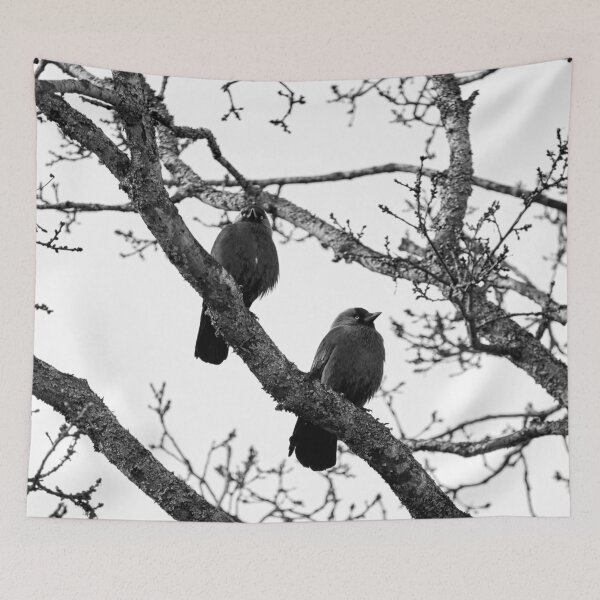 Item preview, Two and a tree. Western jackdaw bw designed and sold by Jouko Lehto Photography.