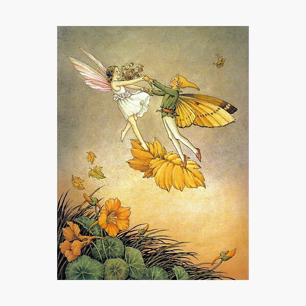 Item preview, Fairies Dancing in the Nasturtiums - Ida Rentoul Outhwaite designed and sold by forgottenbeauty.