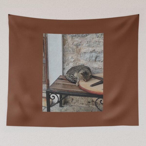 Item preview, A catnap in the early spring sun! ☀️ designed and sold by branaghbel.