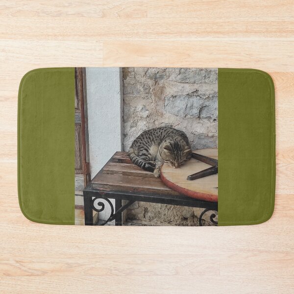 Item preview, A catnap in the early spring sun! ☀️ designed and sold by branaghbel.