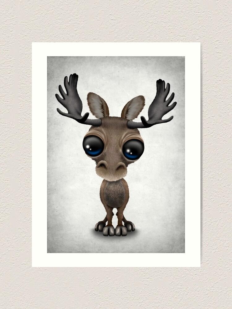 Cute Curious Baby Moose Calf With Big Eyes On White Art Print By Jeffbartels Redbubble