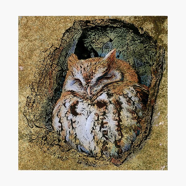Item preview, Birds of Light: Sleepy Owl designed and sold by Gretchen Deahl.