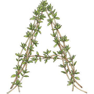 Artwork thumbnail, THYME LETTER A by ART-TYPE