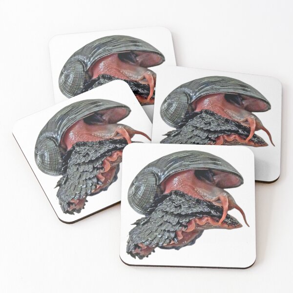 Item preview, Volcano snail (Scaly-foot gastropod, sea pangolin) sticker designed and sold by Eva-vdz.