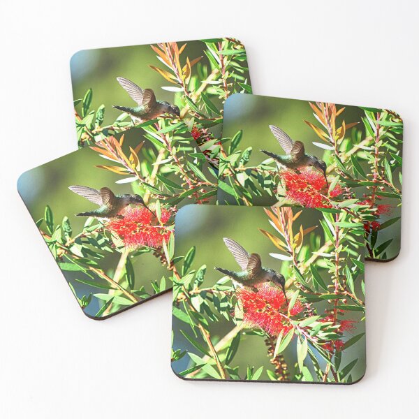 Item preview, Bottlebrush Flower And A Hummingbird designed and sold by LisaWootenPhoto.