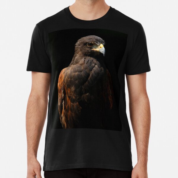 Falcons Hawks Fabric Birds of Prey ~ 100/% QSQ Cotton Sold BTY