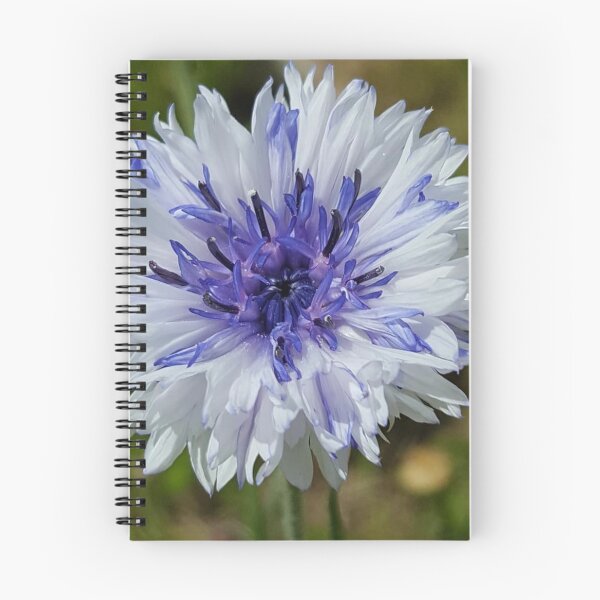 Item preview, Summer flower designed and sold by Jennybphoto.