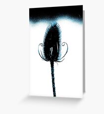 Blue Teasel Greeting Card