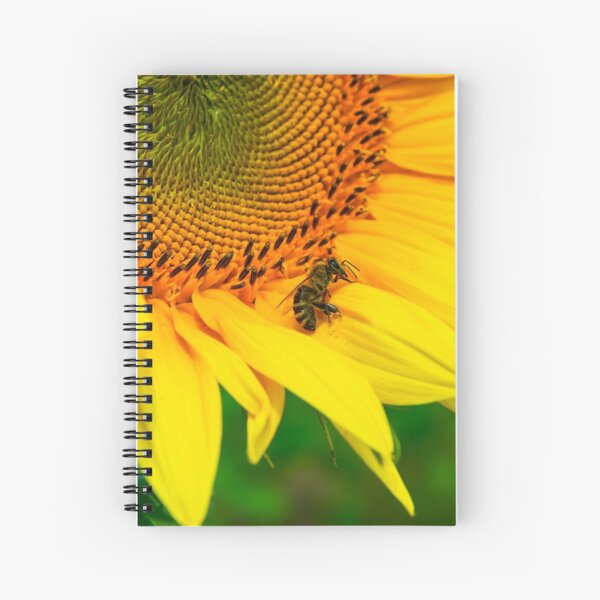 bees gathering pollen of the sunflower Spiral Notebook