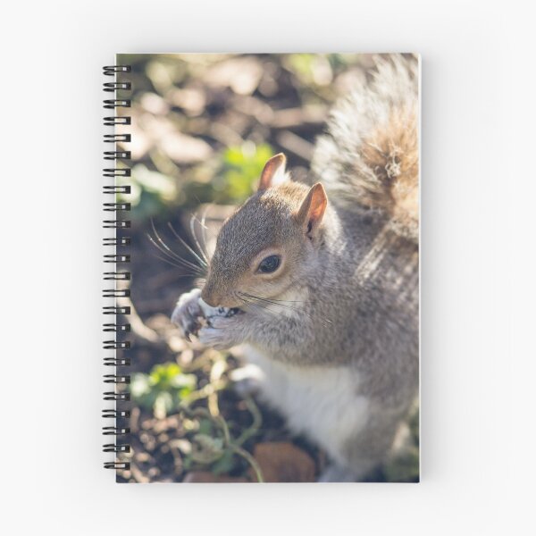Item preview, Squirel designed and sold by Marcelo Lutter-Paz.