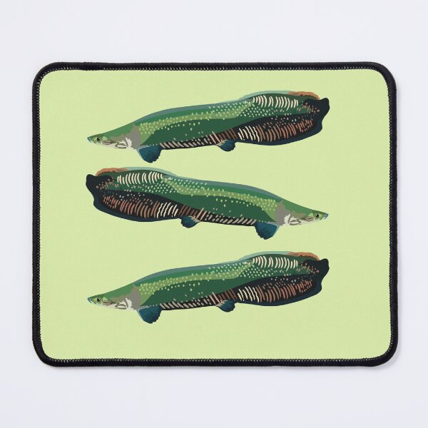 Item preview, A is for Arapaima,Arapaima – Giant Amazon Freshwater Fish Illustration designed and sold by PrettylittlepastelUk.