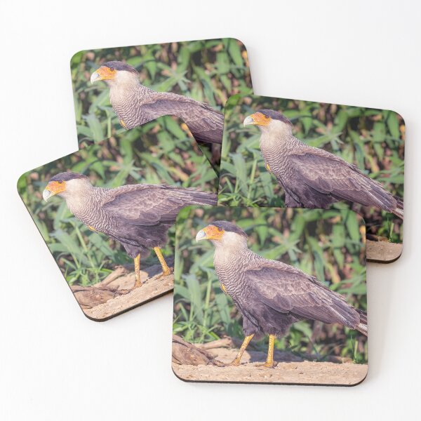 Item preview, Southern Crested Caracara Pantanal Brazil designed and sold by PhotoArt by Joan Carroll.
