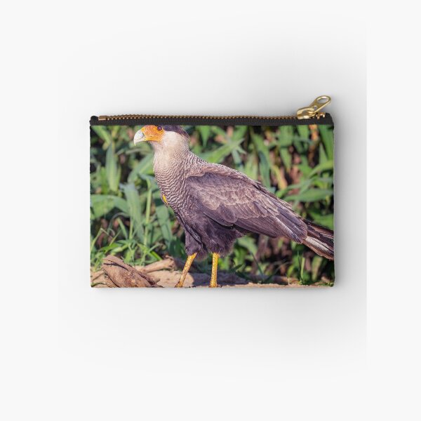 Item preview, Southern Crested Caracara Pantanal Brazil designed and sold by PhotoArt by Joan Carroll.