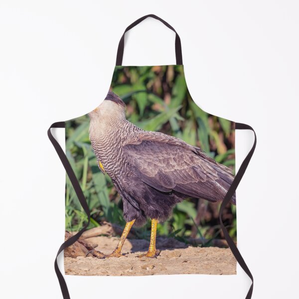Item preview, Southern Crested Caracara Pantanal Brazil designed and sold by PhotoArt by Joan Carroll.