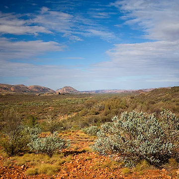 Artwork thumbnail, Western MacDonnell Ranges by Richard Windeyer