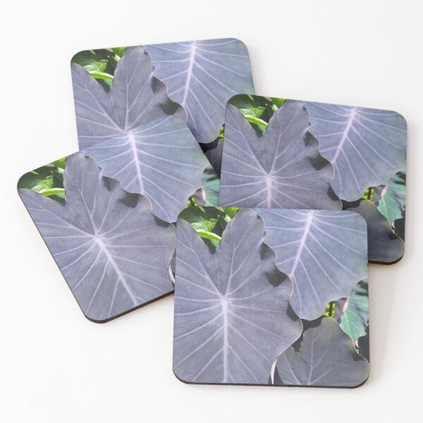 Item preview, Black Elephant Ear designed and sold by Quantum-Life.