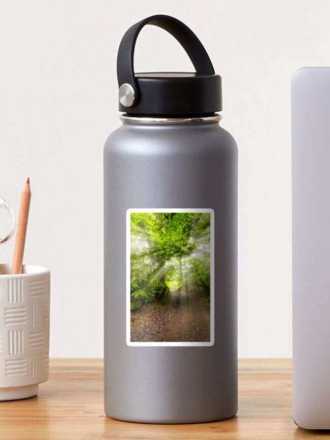 Thumbnail 1 of 3, Sticker, dirt road through beech forest designed and sold by mike-pellinni.