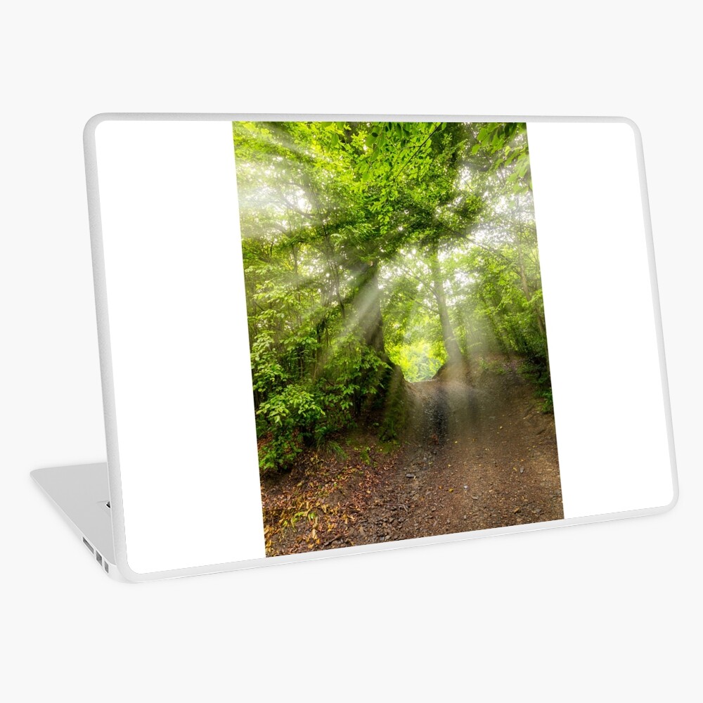 Item preview, Laptop Skin designed and sold by mike-pellinni.
