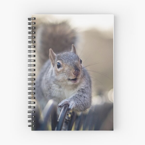 Item preview, Squirel designed and sold by Marcelo Lutter-Paz.
