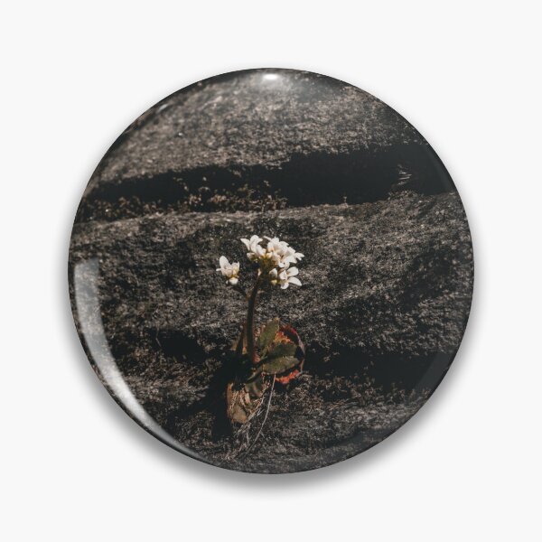 Item preview, Tenacious designed and sold by Carbon Based Lifeforms.