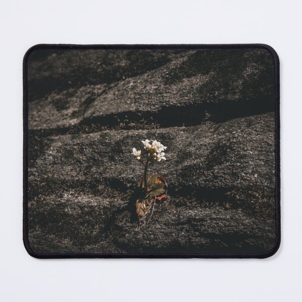 Item preview, Tenacious designed and sold by Carbon Based Lifeforms.