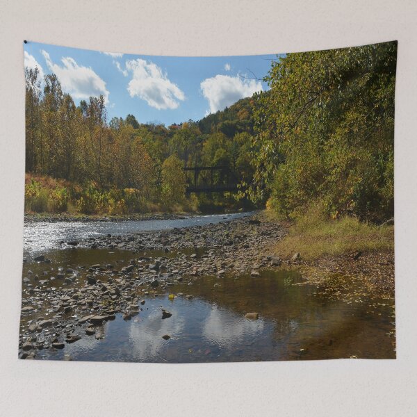 Item preview, Autumn Stream designed and sold by JLW Photos.