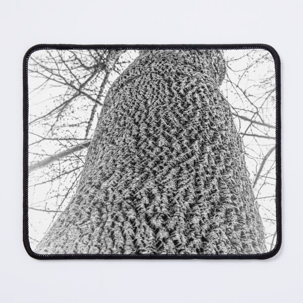 Item preview, Stand Tall designed and sold by Carbon Based Lifeforms.