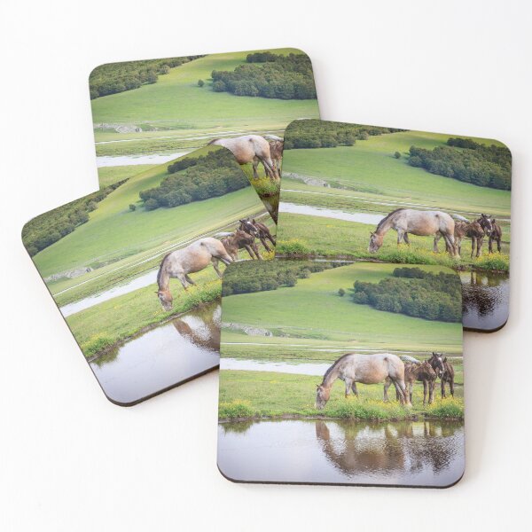 Item preview, Wild Horses 02 designed and sold by SoulEchoesPhoto.