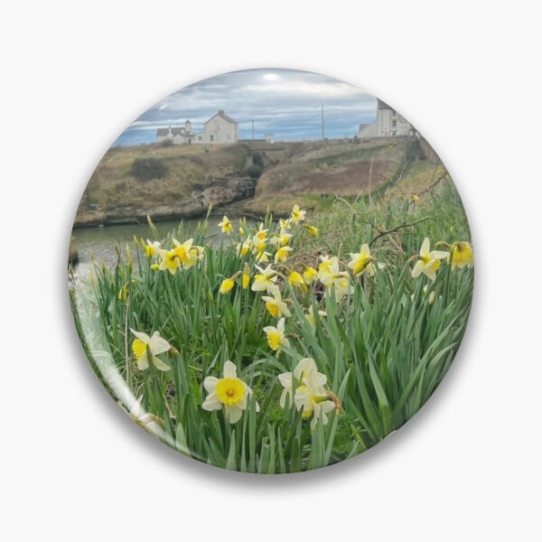 Item preview, Spring Daffodils at Seaton Sluice Harbour designed and sold by Violaman.