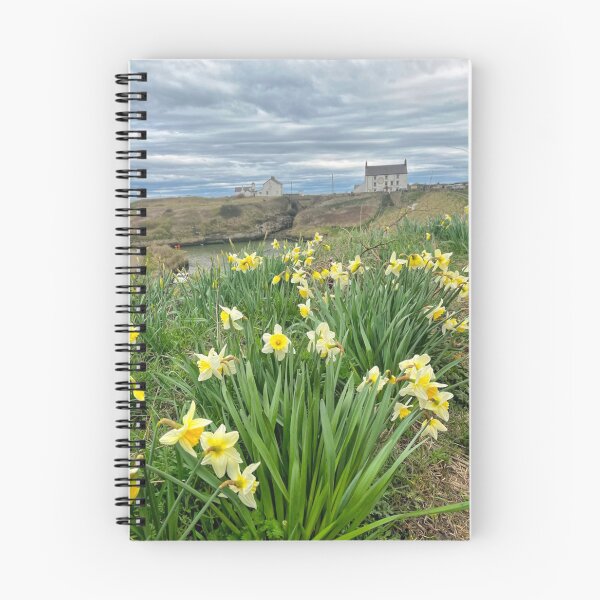Item preview, Spring Daffodils at Seaton Sluice Harbour designed and sold by Violaman.