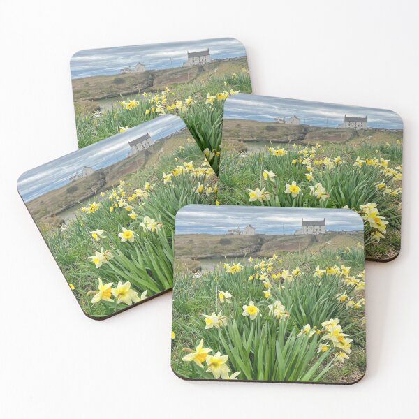 Item preview, Spring Daffodils at Seaton Sluice Harbour designed and sold by Violaman.