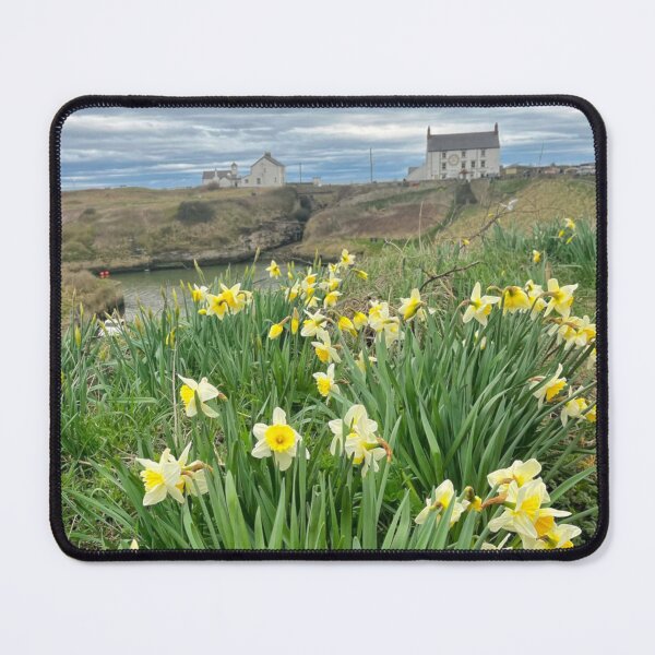 Item preview, Spring Daffodils at Seaton Sluice Harbour designed and sold by Violaman.