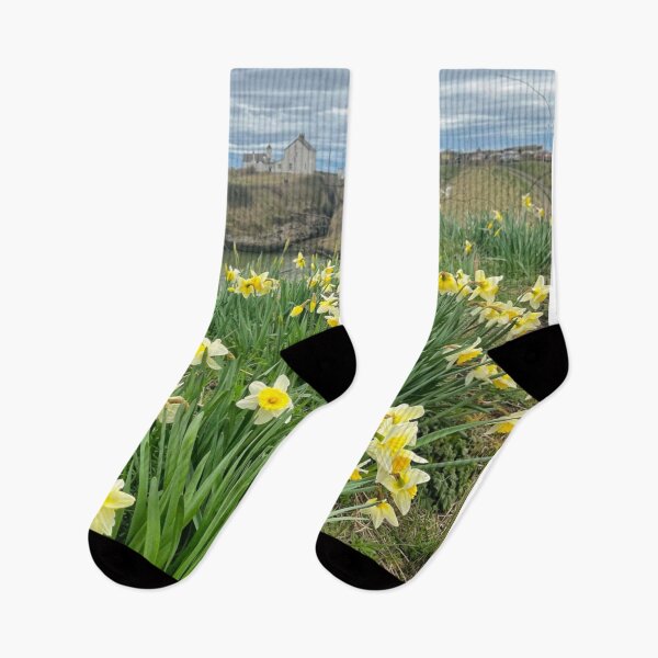 Item preview, Spring Daffodils at Seaton Sluice Harbour designed and sold by Violaman.