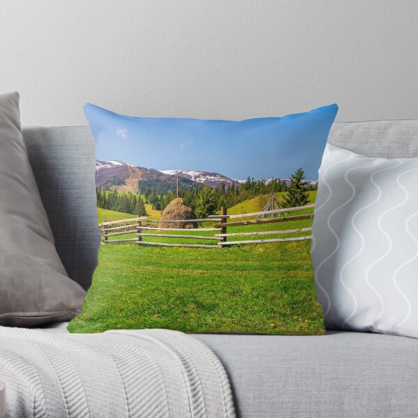 panorama of mountainous rural area Throw Pillow