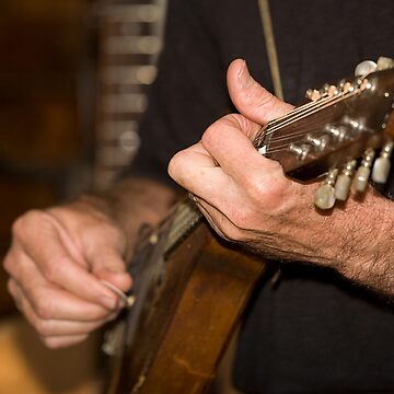 Artwork thumbnail, Mandolin Player by Richard Windeyer