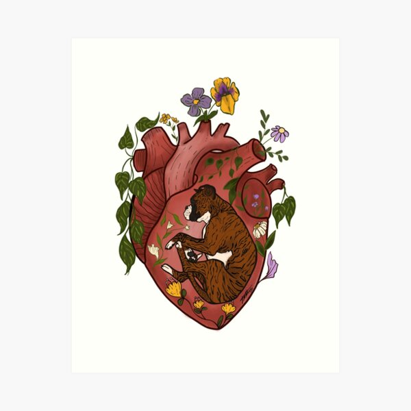 Item preview, Boxerheart designed and sold by Kuukoira.