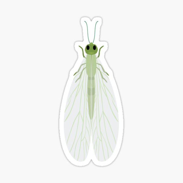 Artikel-Vorschau von Grüne Florfliege | Der zarte Wächter der Gärten, designt und verkauft von KiValuate.
