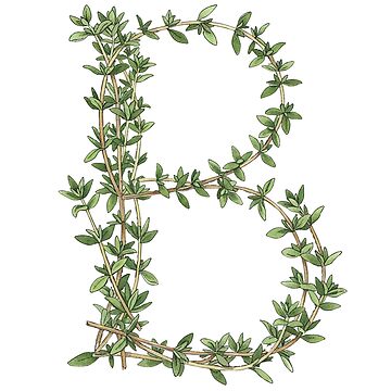 Artwork thumbnail, THYME LETTER B by ART-TYPE