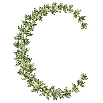 Artwork thumbnail, THYME LETTER C by ART-TYPE