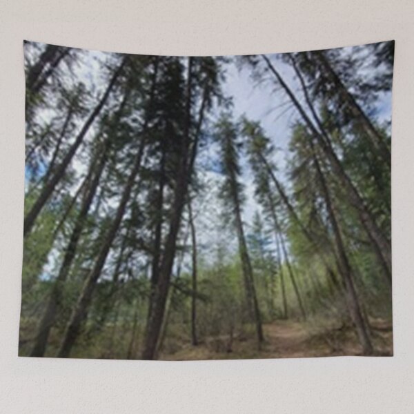 Item preview, THE WOODS 9 designed and sold by SERAPHIC MINDSCAPE.